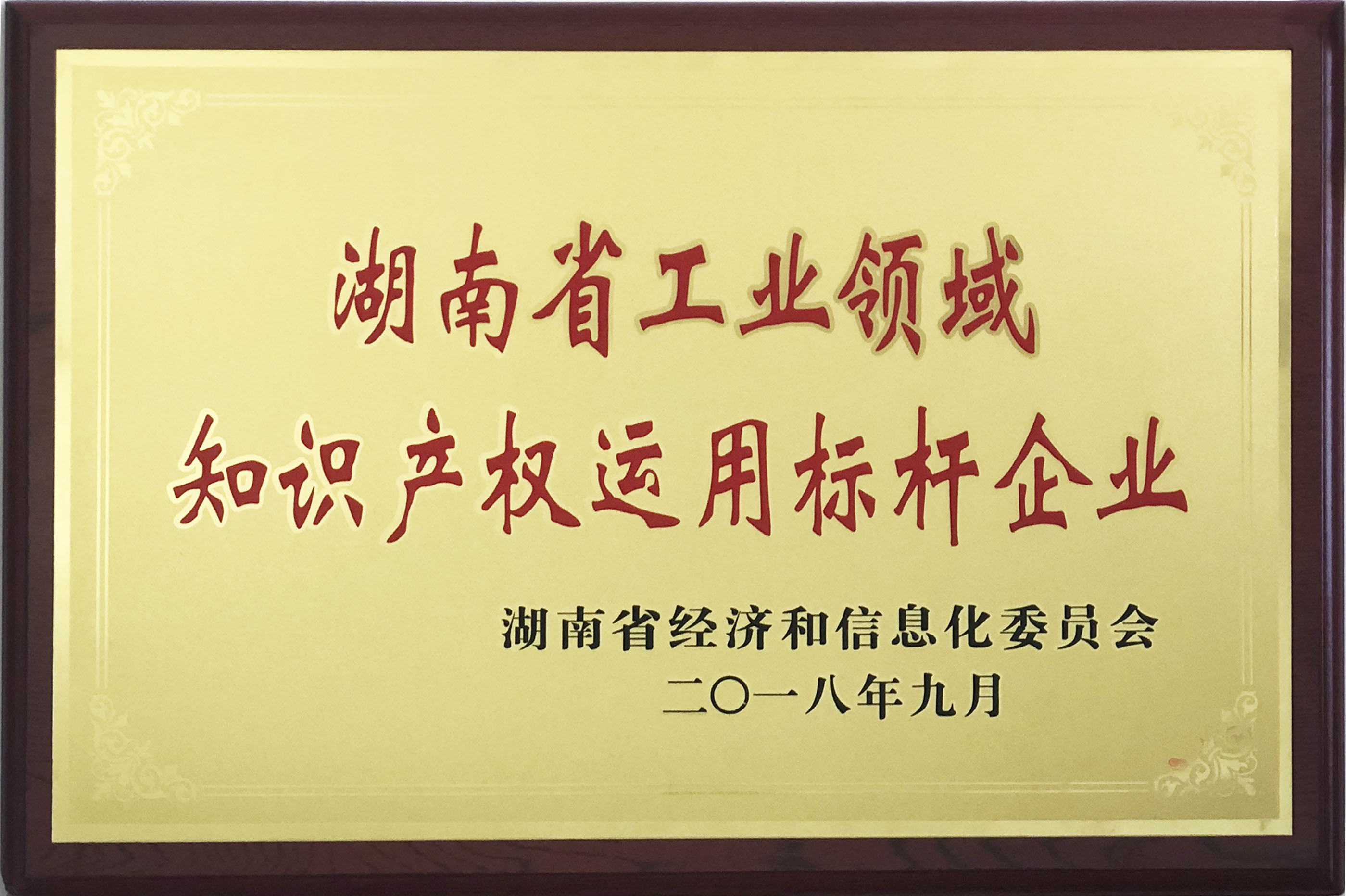 湖南省工業(yè)領域知識產權運用標桿企業(yè)